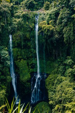 Sekumpul Şelalesi, Bali, Endonezya