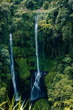 Sekumpul Şelalesi, Bali, Endonezya