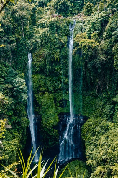 Uitzicht Sekumpul Waterval Bali Indonesië — Stockfoto