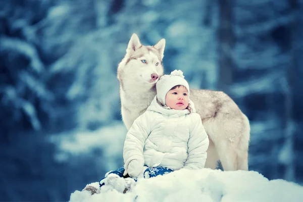 Liten Flicka Med Hund Husky Snön Vintern — Stockfoto