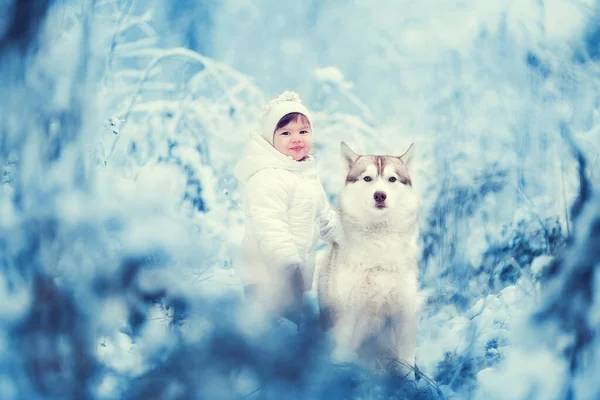 Kleines Mädchen Mit Hund Husky Winter Schnee — Stockfoto