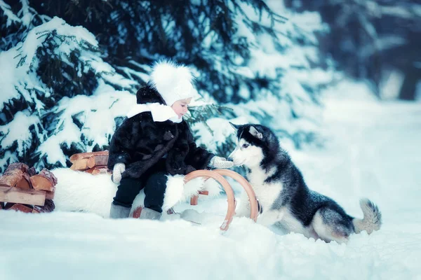 Petite Fille Avec Husky Sibérien Dans Forêt Hiver — Photo