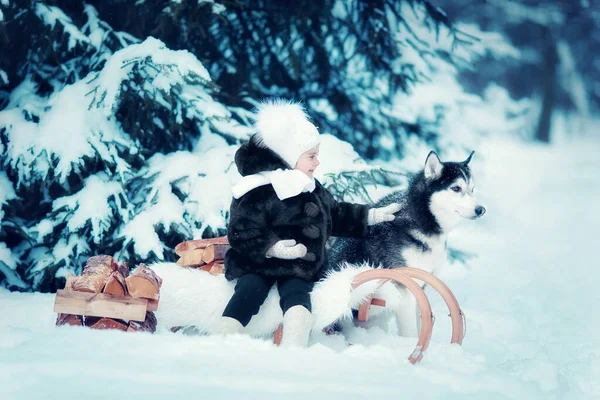 Petite Fille Avec Husky Sibérien Dans Forêt Hiver — Photo