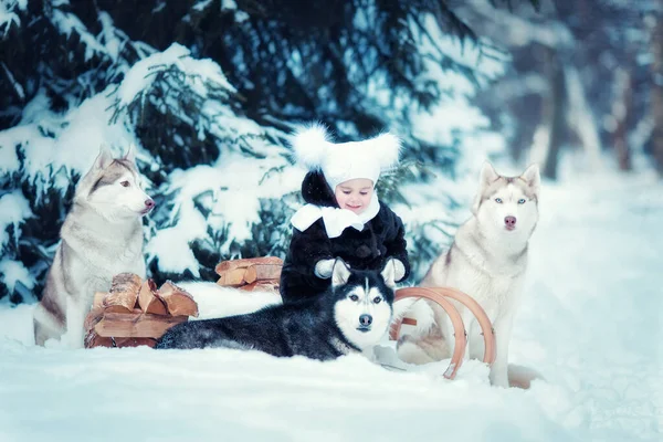 Kışın Ormanda Sibirya Husky Olan Küçük Kız — Stok fotoğraf