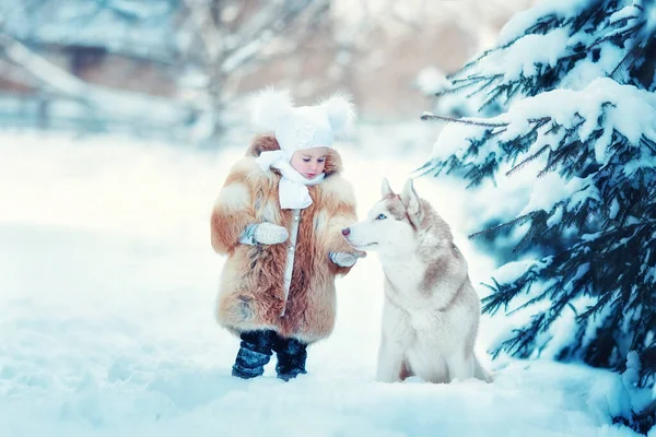 Kışın Ormanda Sibirya Husky Olan Küçük Kız — Stok fotoğraf
