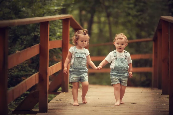 Dwie Małe Dziewczynki Spacerują Latem Parku — Zdjęcie stockowe