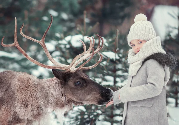 Mała Dziewczynka Stoi Reniferem Pobliżu Jodły Zimowym Lesie — Zdjęcie stockowe