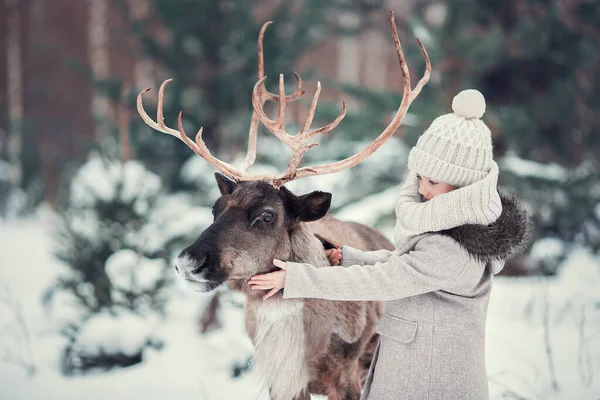 Niña Está Pie Con Reno Cerca Del Abeto Bosque Invierno —  Fotos de Stock