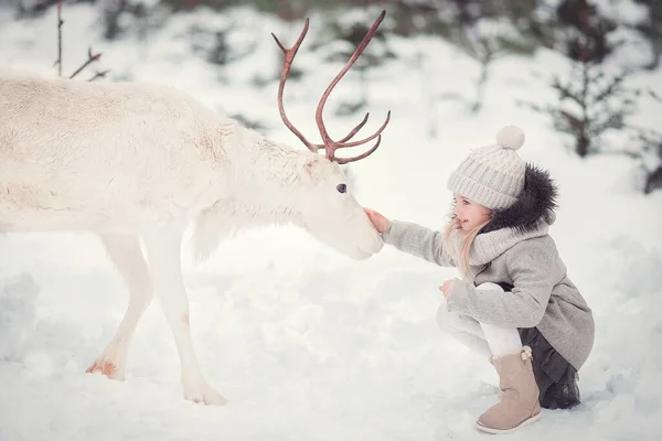 Маленька Дівчинка Сидить Білими Оленями Зимовому Лісі — стокове фото