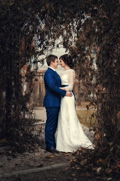 Matrimonio Sposi Sono Piedi Nel Parco Autunno — Foto Stock