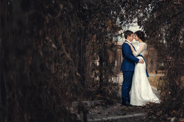 Matrimonio Sposi Sono Piedi Nel Parco Autunno — Foto Stock