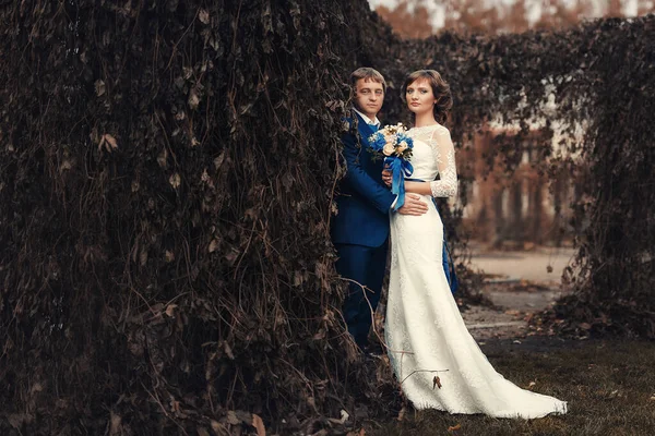 Matrimonio Sposi Sono Piedi Nel Parco Autunno — Foto Stock