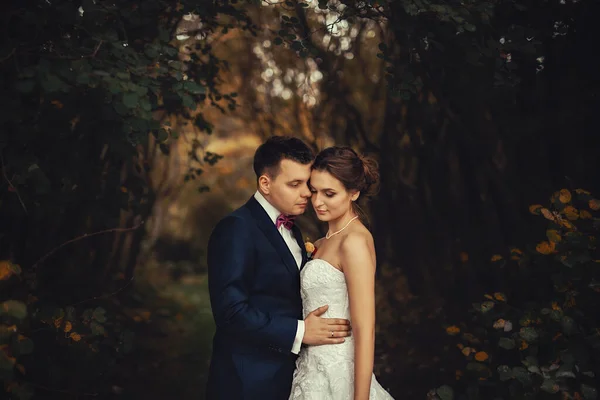 Bellissimo Matrimonio Nella Foresta Autunno — Foto Stock