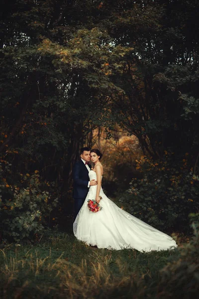 Bellissimo Matrimonio Nella Foresta Autunno — Foto Stock