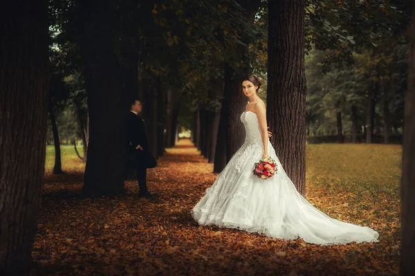 秋天在森林里举行的美丽的婚礼 — 图库照片