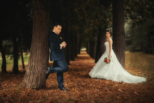 Casamento Bonito Floresta Outono — Fotografia de Stock