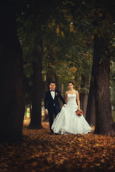 Bellissimo Matrimonio Nella Foresta Autunno — Foto Stock