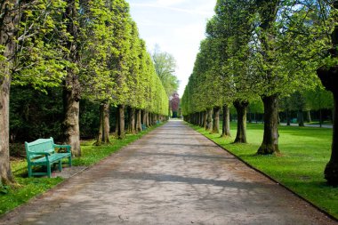 Yol bahar parkta Dusseldorf, Almanya