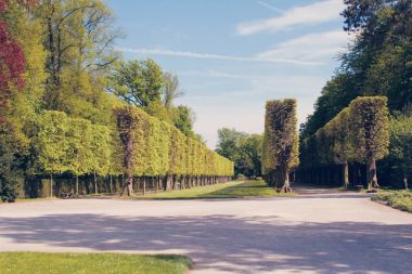 Bahar Parkı Dusseldorf, Almanya