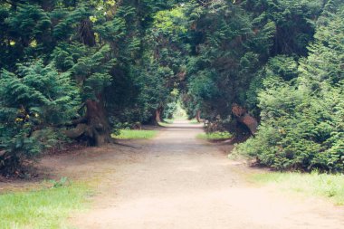Yol bahar parkta Dusseldorf, Almanya
