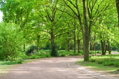 Yol bahar parkta Dusseldorf, Almanya