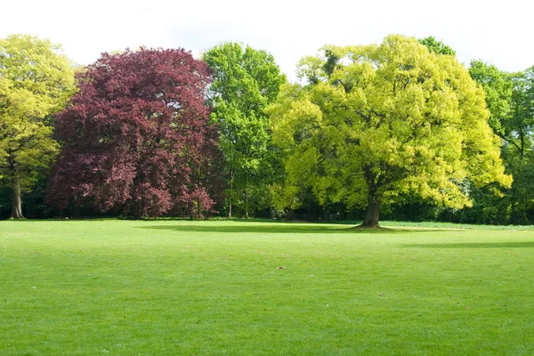 Parque de primavera en Düsseldorf, Alemania —  Fotos de Stock