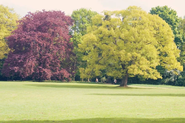 Parque de primavera en Düsseldorf, Alemania —  Fotos de Stock