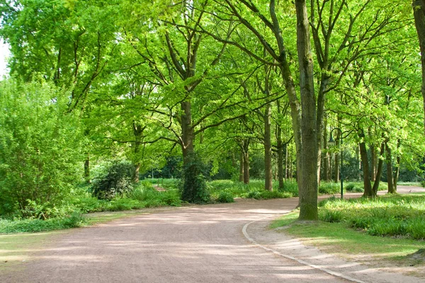 Yol bahar parkta Dusseldorf, Almanya