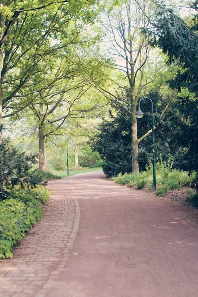 Carretera en el parque de primavera en Düsseldorf, Alemania —  Fotos de Stock