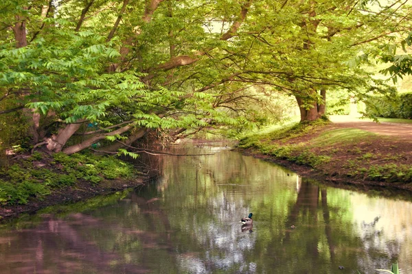 Bahar Parkı Dusseldorf, Almanya
