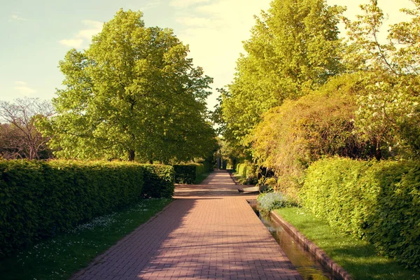 Carretera en el parque de primavera en Düsseldorf, Alemania —  Fotos de Stock