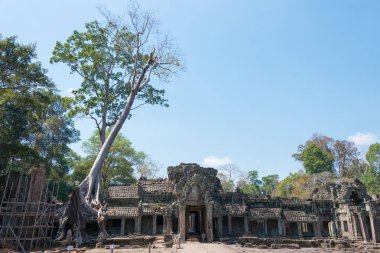Siem Reap, Kamboçya - 4 Şubat 2015: Angkor Preah Karaca. bir ünlü Ören (Unesco Dünya Mirası) Angkor, Siem Reap, Kamboçya.