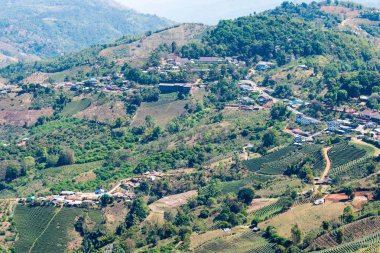 Chiang Rai, Tayland. -Şub 27 2015: Mae Salong görünümünü. Bu köyün Doi Mae Salong, Chiang Rai, Tayland Çin milliyetçi ordusunun 93 bölüme göre şeklinde oldu.