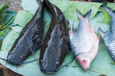 Luang Prabang, Laos - 13 Haziran 2015: Luang Prabang sabah Pazar. Sabah Market alışveriş sitesi turistler için popüler bir hatıra mı.
