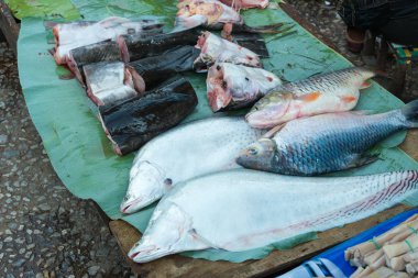 Luang Prabang, Laos - 13 Haziran 2015: Luang Prabang sabah Pazar. Sabah Market alışveriş sitesi turistler için popüler bir hatıra mı.