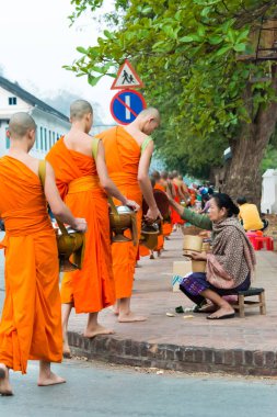 Luang Prabang, Laos - Mar 06 2015: sadaka sabah toplama Budist rahipler. Rahipler de Luang Prabang için sadaka verme geleneği turistlere genişletilmiş.