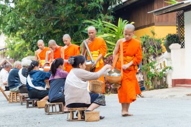 Luang Prabang, Laos - Mar 06 2015: sadaka sabah toplama Budist rahipler. Rahipler de Luang Prabang için sadaka verme geleneği turistlere genişletilmiş.