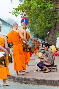 Luang Prabang, Laos - Mar 06 2015: sadaka sabah toplama Budist rahipler. Rahipler de Luang Prabang için sadaka verme geleneği turistlere genişletilmiş.