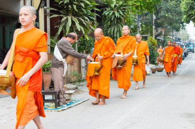 Luang Prabang, Laos - Mar 06 2015: sadaka sabah toplama Budist rahipler. Rahipler de Luang Prabang için sadaka verme geleneği turistlere genişletilmiş.