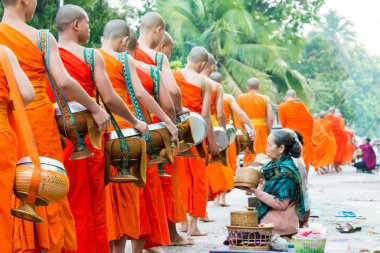 Luang Prabang, Laos - Mar 06 2015: sadaka sabah toplama Budist rahipler. Rahipler de Luang Prabang için sadaka verme geleneği turistlere genişletilmiş.