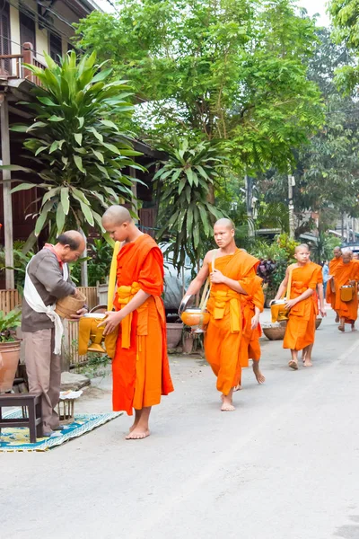 Luang Prabang, Laos - Mar 06 2015: sadaka sabah toplama Budist rahipler. Rahipler de Luang Prabang için sadaka verme geleneği turistlere genişletilmiş.