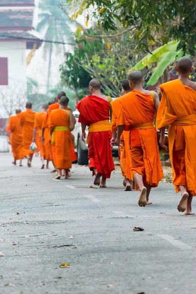 Luang Prabang, Laos - 07 mar 2015: Ceremonia de limosna budista por la mañana. La tradición de dar limosna a los monjes en Luang Prabang se ha extendido a los turistas . — Foto de Stock