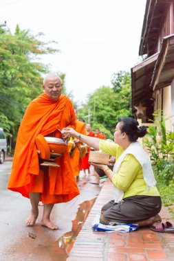Luang Prabang, Laos - 12 Haziran 2015: sabah töreni Budist sadaka. Rahipler de Luang Prabang için sadaka verme geleneği turistlere genişletilmiş.