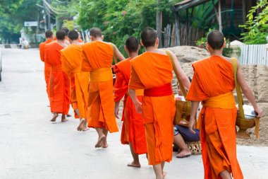 Luang Prabang, Laos - 13 Haziran 2015: sabah töreni Budist sadaka. Rahipler de Luang Prabang için sadaka verme geleneği turistlere genişletilmiş.