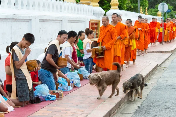 Luang Prabang, Laos - 14 Haziran 2015: sabah töreni Budist sadaka. Rahipler de Luang Prabang için sadaka verme geleneği turistlere genişletilmiş.
