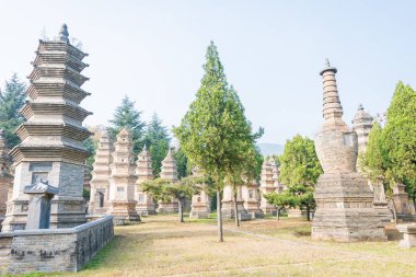 Henan, Çin - 09 Kasım 2015: Talin (Budist Pagoda orman) Shaolin Temple(World Heritage site) içinde. ünlü tarihi bir site Dengfeng, Henan, Çin.