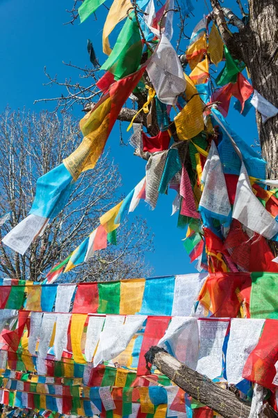 Shangrila, Kina - Mar 13 2015: Prayer flag Baiji templet. en berömda tibetanska staden Shangrila, Yunnan, Kina. — Stockfoto