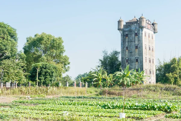 GUNAGDONG, CINA - 19 dicembre 2015: The Canada Village. Nel 1923, il villaggio fu costruito dai cinesi d'oltremare tornati dal Canada a Kaiping, Guangdong, Cina. . — Foto Stock