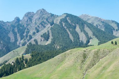 Doğu Türkistan, Çin - 10 Mayıs 2015: Nanshan mera. Urumçi, Xinjiang, China ünlü bir manzarada.