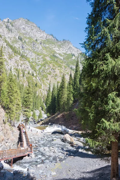 XINJIANG, CINA - 10 maggio 2015: Foresta a Nanshan Pascolo. un famoso paesaggio in Urumqi, Xinjiang, Cina . — Foto Stock